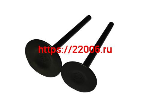 Клапан впускной SHINERAY  VJP250-4 172FMM (22020096) фото 2