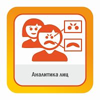 Аналитика лиц  Счетчик людей с оценкой демографией (пол, возраст, раса). Включает обнаружение лиц