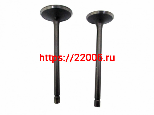 Клапана ГБЦ CG250 167MM/FMM (d=29/34) (I=90/90)