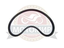 Ремень вентилятора AVX 10х613 La зубчатый Рысь