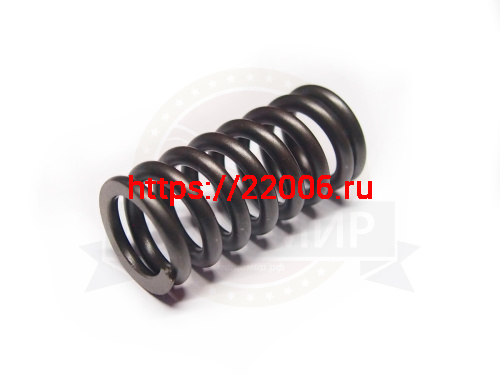 Пружина клапана CB250 см3 Zongshen ZS 170MM-2 (100056403) Пружина клапана CB250 см3 Zongshen ZS 170MM-2 (100056403)