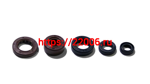 Набор сальников ZS190E (ZS1P62YML-2) (5шт)